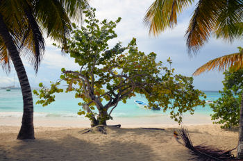 Blick ber den Strand von Saona